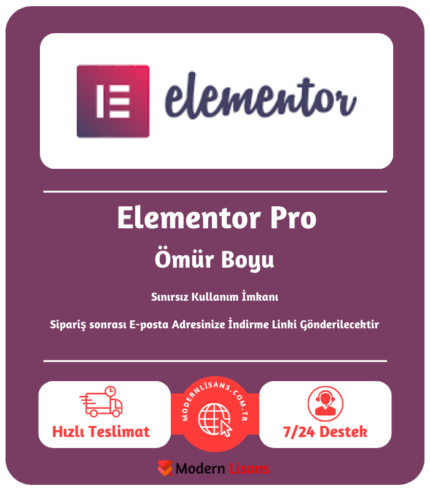 Elementor Pro (Ömür Boyu)